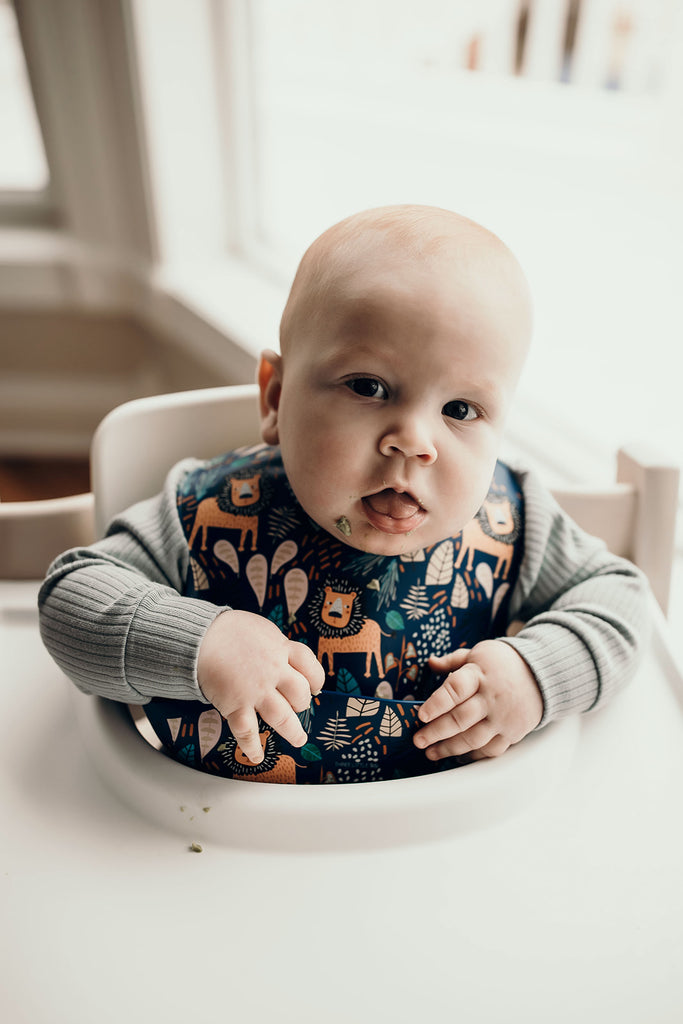 Silicone Bibs Lion Tryco Bibs With Names Bibs With Drip 