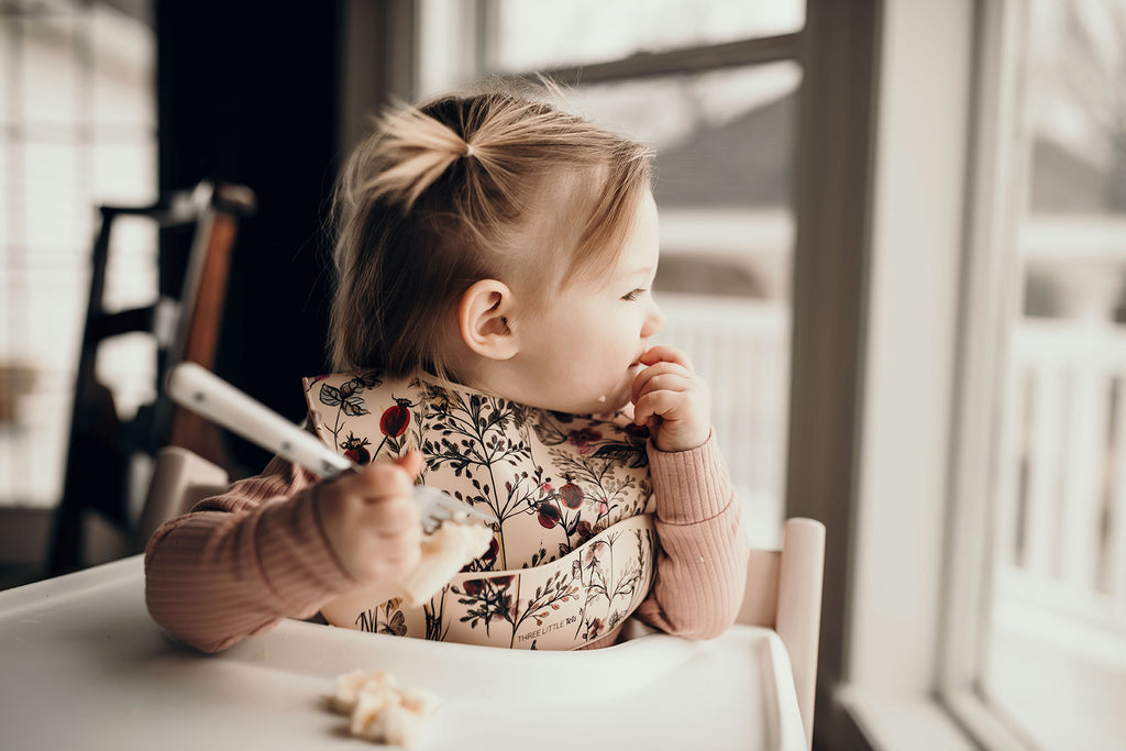 Soft Silicone Reusable Eco-friendly Baby Owl Bib with Crumb Catcher